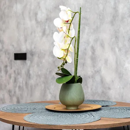 Noguera Loft 